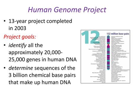 Human Genome Project 13-year project completed in 2003 Project goals: