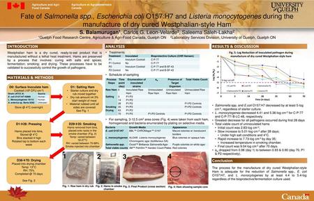 Fate of Salmonella spp., Escherichia coli O157:H7 and Listeria monocytogenes during the manufacture of dry cured Westphalian-style Ham S. Balamurugan1,