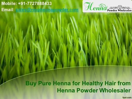 Buy Pure Henna for Healthy Hair from Henna Powder Wholesaler Mobile: