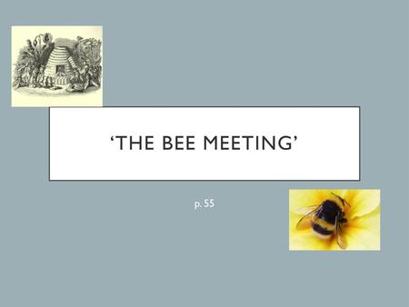 ‘the bee meeting’ p. 55.