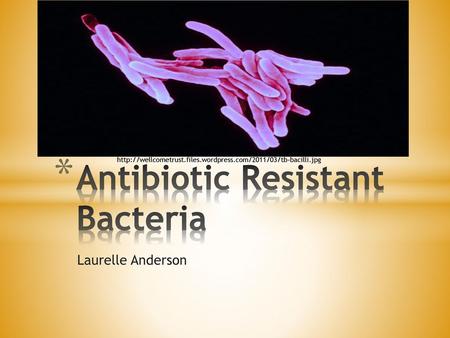 Antibiotic Resistant Bacteria