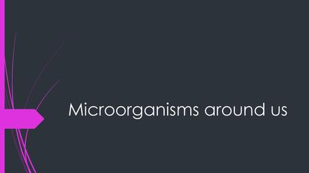 Microorganisms around us