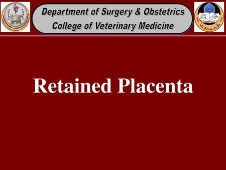 Retained Placenta.