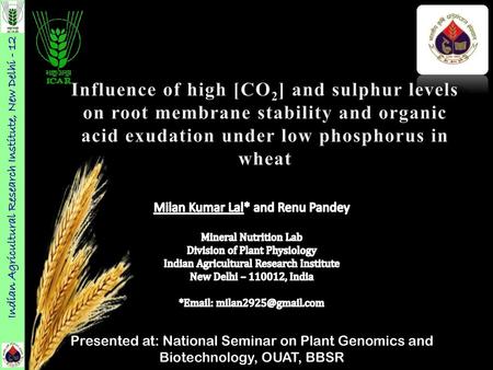 Indian Agricultural Research Institute, New Delhi - 12