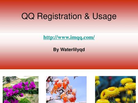 QQ Registration & Usage