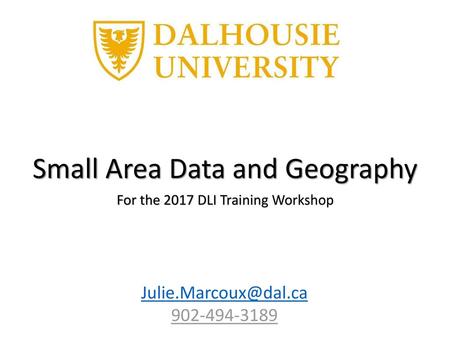 Small Area Data and Geography For the 2017 DLI Training Workshop