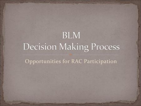 BLM Decision Making Process