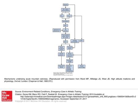 Mechanisms underlying acute mountain sickness