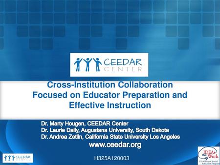 Dr. Marty Hougen, CEEDAR Center