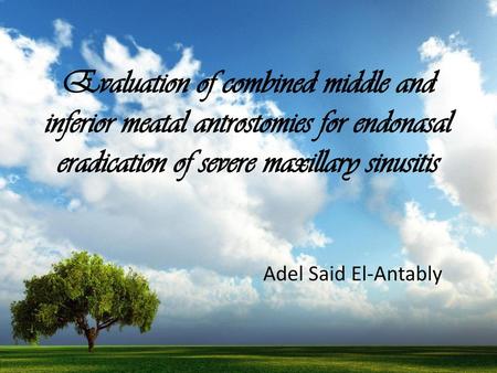 Evaluation of combined middle and inferior meatal antrostomies for endonasal eradication of severe maxillary sinusitis Adel Said El-Antably.