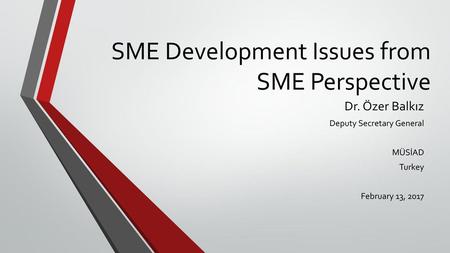 SME Development Issues from SME Perspective