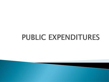 PUBLIC EXPENDITURES.