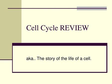 aka.. The story of the life of a cell.