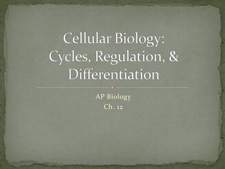 Cellular Biology: Cycles, Regulation, & Differentiation