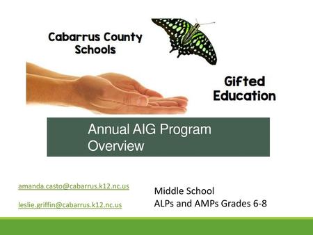 Annual AIG Program Overview