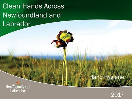 Clean Hands Across Newfoundland and Labrador