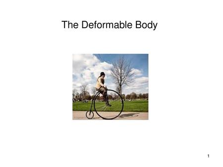 The Deformable Body.