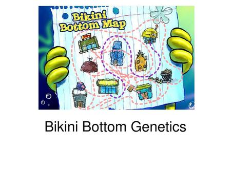 Bikini Bottom Genetics