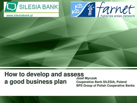 How to develop and assess a good business plan