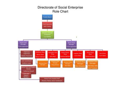 Directorate of Social Enterprise Role Chart