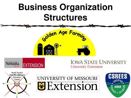 Business Organization Structures