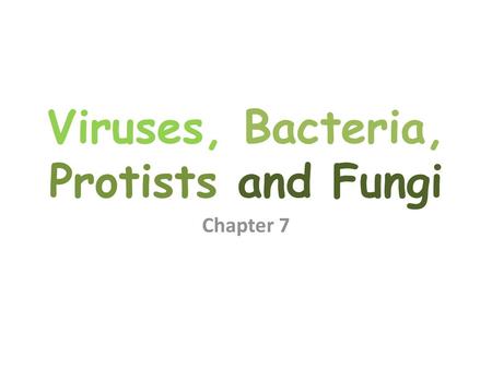 Viruses, Bacteria, Protists and Fungi