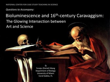 Bioluminescence and 16th-century Caravaggism: