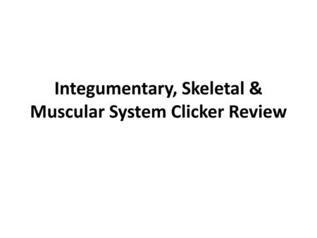 Integumentary, Skeletal & Muscular System Clicker Review