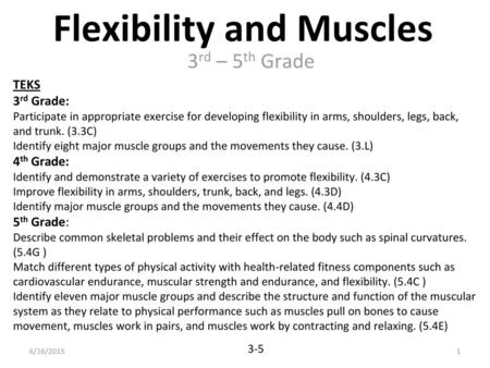 Flexibility and Muscles