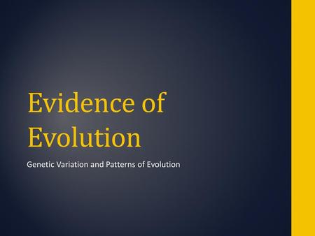 Genetic Variation and Patterns of Evolution