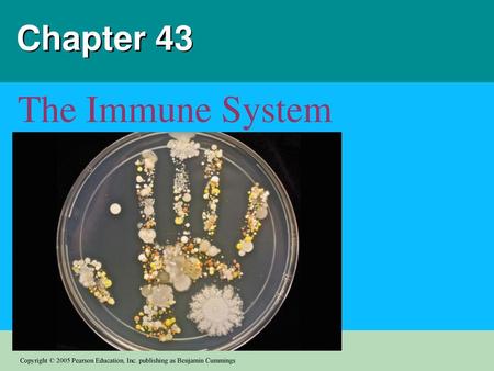 Chapter 43 The Immune System.