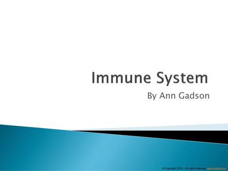 Immune System By Ann Gadson