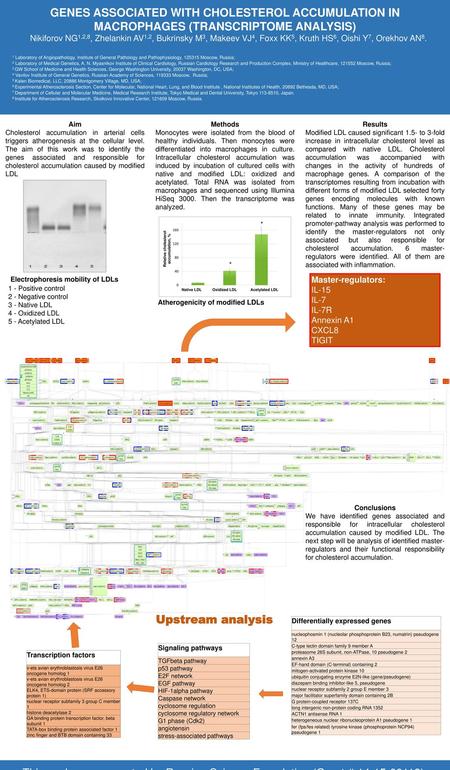 GENES ASSOCIATED WITH CHOLESTEROL ACCUMULATION IN MACROPHAGES (TRANSCRIPTOME ANALYSIS) Nikiforov NG1,2,8, Zhelankin AV1,2, Bukrinsky M3, Makeev VJ4, Foxx.