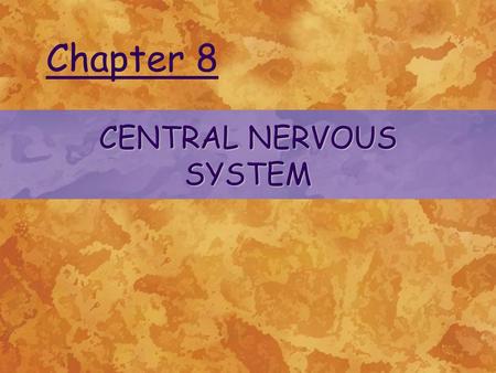 CENTRAL NERVOUS SYSTEM