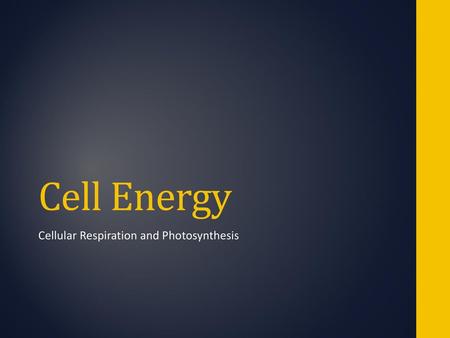 Cellular Respiration and Photosynthesis