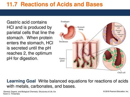 11.7 Reactions of Acids and Bases