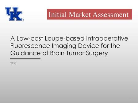 Initial Market Assessment