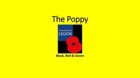 The Poppy Black, Red & Green.