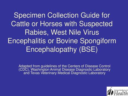 Specimen Collection Guide for Cattle or Horses with Suspected Rabies, West Nile Virus Encephalitis or Bovine Spongiform Encephalopathy (BSE) Adapted from.