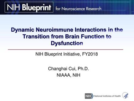 Dynamic Neuroimmune Interactions in the Transition from Brain Function to Dysfunction NIH Blueprint Initiative, FY2018 Changhai Cui, Ph.D. NIAAA, NIH.