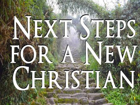 Next Steps for a New Christian