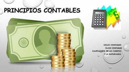 PRINCIPIOS CONTABLES