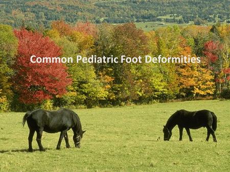 Common Pediatric Foot Deformities. CLUBFOOT Congenital talipes equino varus (CTEV)