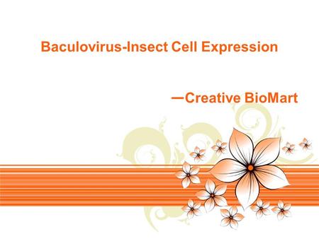 Page 1 Baculovirus-Insect Cell Expression — Creative BioMart.