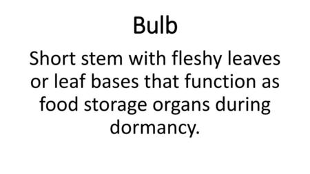 Bulb Short stem with fleshy leaves or leaf bases that function as food storage organs during dormancy.