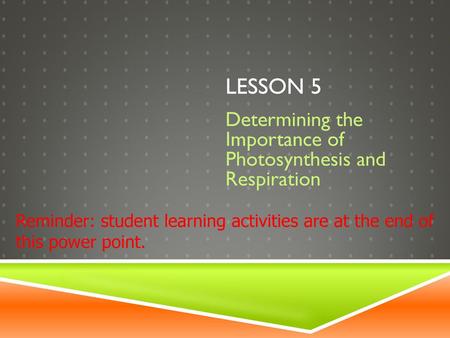 Determining the Importance of Photosynthesis and Respiration