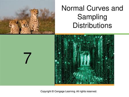 7 Normal Curves and Sampling Distributions