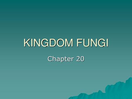 KINGDOM FUNGI Chapter 20.