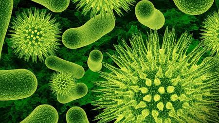 Microbes and Disease L1 Introduction to Microbes