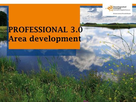 PROFESSIONAL 3.0 Area development